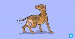 Wagging the Dog’s Tail..! Wagging the Dog’s Tail..!