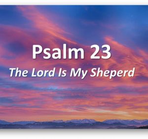 Knowing the Shepherd..!