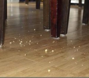 Crumbs Under the Table..!