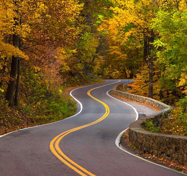 A Road Called Democracy..!