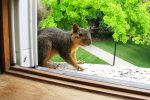 Noise Outside my Window..! Noise Outside my Window..!