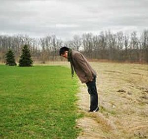 Green Grass on the Other Side..!