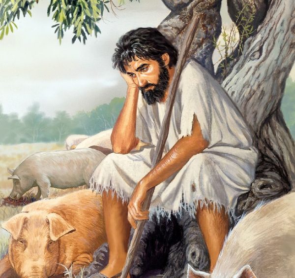 Please Take Me Back..!