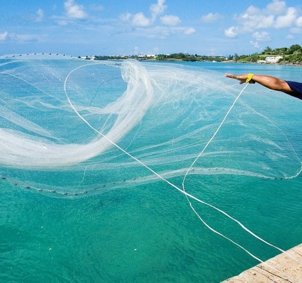Providing Fishing Nets..!