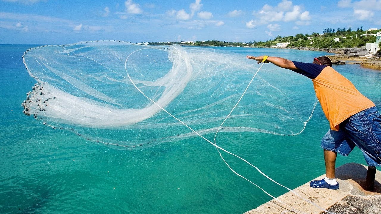 Providing Fishing Nets..! - Bobs Banter
