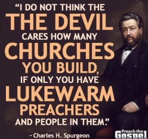 The ‘Mellow’ People..!