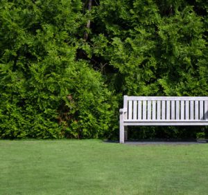 Echoes from a Garden Bench..!