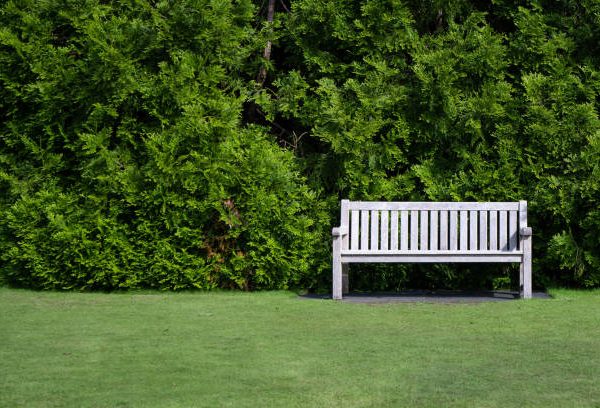Echoes from a Garden Bench..!