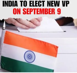 We Offer You a New Vice President..!