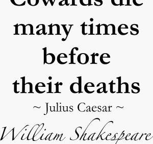 The Bold and the Cowardly..! The Bold and the Cowardly..!