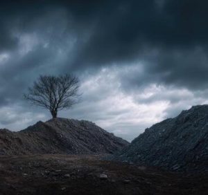 Bleak…!