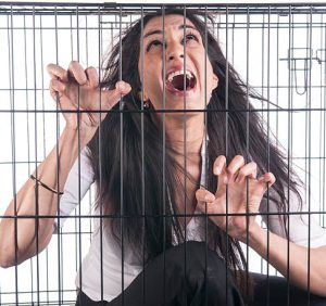 Our Epstein Cages..!