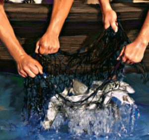 Networking or Net Not Working…!